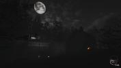 Captura 3