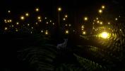 Captura 3