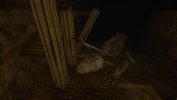 Captura 6