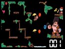 Captura 2 de Donkey Kong Jr.