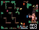Captura 3 de Donkey Kong Jr.