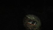 Captura 3 de White Noise