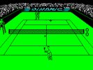 Captura 3 Captura 3 de Simulador Profesional de Tenis