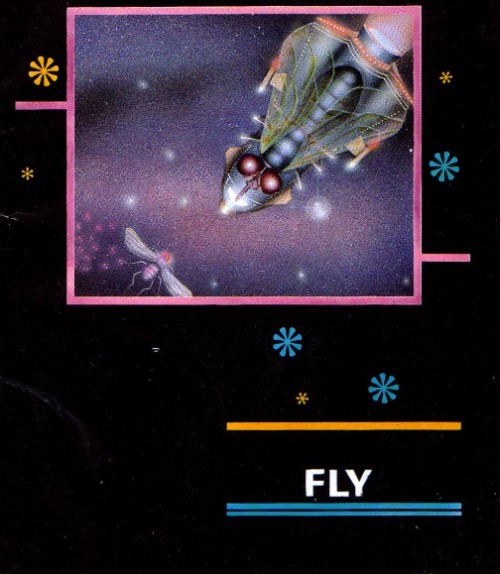 Fly