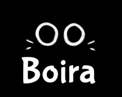 Boira