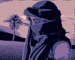 Desierto?️