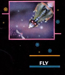 Fly