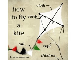 how to fly a kite / cómo volar una cometa