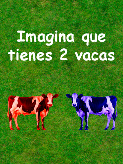 Imagina que tienes 2 vacas