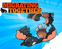 MIGRATING TOGETHER