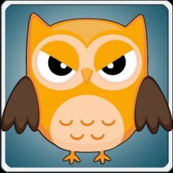 Owl Smasher
