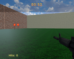 Target Shooting