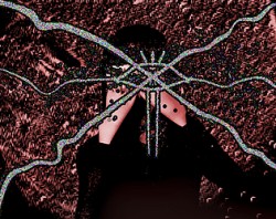 Terminal Veil