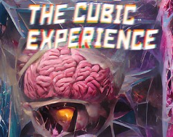 The Cubic Experience
