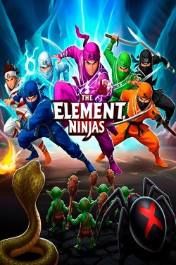 The Element Ninjas