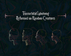 Transorbital Lobotomy Performed on Random Creatures