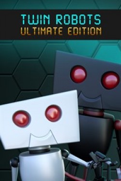 Twin Robots