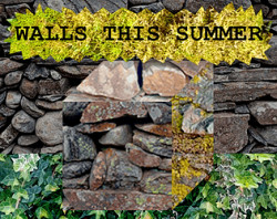 Walls this summer