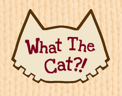What the Cat!?