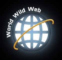 World Wild Web