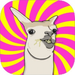 ola k ase play or what