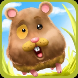 Run Run Hamster