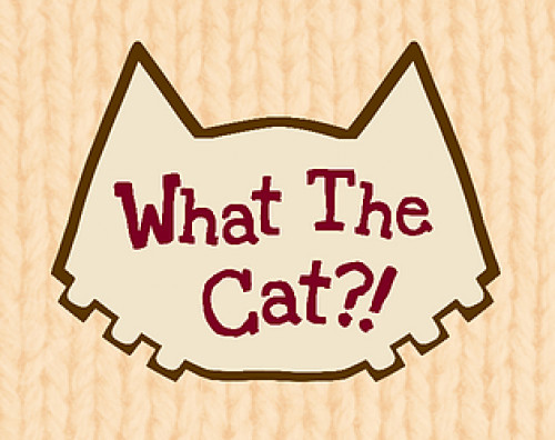 What the Cat!?